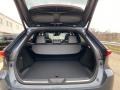 Coastal Gray Metallic - Venza Hybrid Limited AWD Photo No. 29