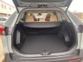 Lunar Rock - RAV4 XLE AWD Hybrid Photo No. 25