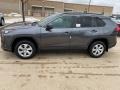 Magnetic Gray Metallic - RAV4 LE AWD Photo No. 1