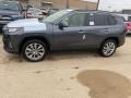 Magnetic Gray Metallic 2021 Toyota RAV4 Limited AWD