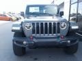 Sting-Gray - Gladiator Rubicon 4x4 Photo No. 3