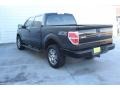 2014 Sterling Grey Ford F150 STX SuperCrew 4x4  photo #7
