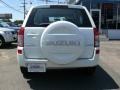 White Water Pearl - Grand Vitara  Photo No. 5