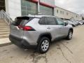 Silver Sky Metallic - RAV4 LE AWD Photo No. 13