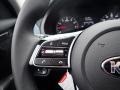 Steel Gray - Seltos S AWD Photo No. 20