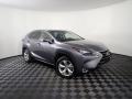 Nebula Gray Pearl - NX 300h AWD Photo No. 6