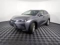 Nebula Gray Pearl - NX 300h AWD Photo No. 10