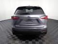 Nebula Gray Pearl - NX 300h AWD Photo No. 14