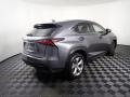 Nebula Gray Pearl - NX 300h AWD Photo No. 19