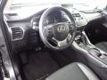 Nebula Gray Pearl - NX 300h AWD Photo No. 26
