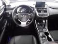 Nebula Gray Pearl - NX 300h AWD Photo No. 30