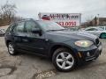 2007 Deep Green Metallic BMW X5 3.0si  photo #1