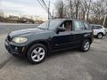 2007 Deep Green Metallic BMW X5 3.0si  photo #8