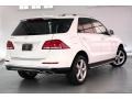 Polar White - GLE 350 Photo No. 13