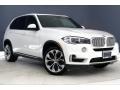 Alpine White - X5 sDrive35i Photo No. 1