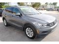 Platinum Gray Metallic - Tiguan SE Photo No. 2