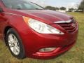 Sparkling Ruby - Sonata GLS Photo No. 25
