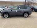 Magnetic Gray Metallic - RAV4 Limited AWD Photo No. 1