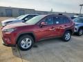 Ruby Flare Pearl - RAV4 XLE AWD Photo No. 1