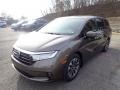 Pacific Pewter Metallic 2021 Honda Odyssey EX-L