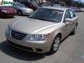 Camel Pearl - Sonata GLS V6 Photo No. 14