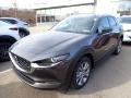Machine Gray Metallic - CX-30 Premium AWD Photo No. 5