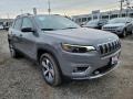 Sting-Gray - Cherokee Limited 4x4 Photo No. 1