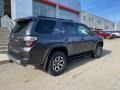 Magnetic Gray Metallic - 4Runner TRD Off Road Premium 4x4 Photo No. 14