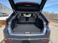 Boulder Trunk Photo for 2021 Toyota Venza #140821770
