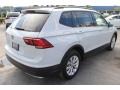 White Silver Metallic - Tiguan S Photo No. 9