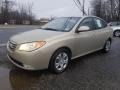 2010 Laguna Sand Hyundai Elantra GLS  photo #7