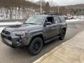 Magnetic Gray Metallic - 4Runner Venture 4x4 Photo No. 13