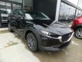 Jet Black Mica - CX-30 AWD Photo No. 1