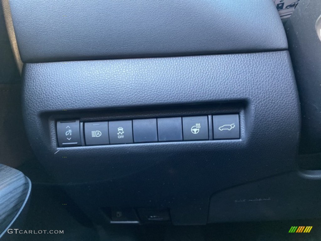2021 Venza Hybrid XLE AWD - Titanium Glow / Black photo #20