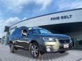 Wilderness Green Metallic 2019 Subaru Outback 2.5i Limited