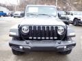 Sting-Gray - Wrangler Unlimited Willys 4x4 Photo No. 9