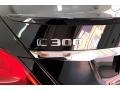 Black - C 300 Sedan Photo No. 31
