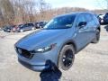 Polymetal Gray - CX-5 Carbon Edition AWD Photo No. 5