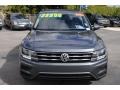 Platinum Gray Metallic - Tiguan SE Photo No. 3