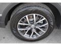 Platinum Gray Metallic - Tiguan SE Photo No. 10