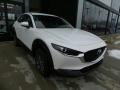 Snowflake White Pearl Mica - CX-30 AWD Photo No. 1