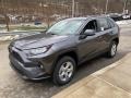 Magnetic Gray Metallic - RAV4 XLE AWD Photo No. 14