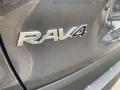 Magnetic Gray Metallic - RAV4 XLE AWD Photo No. 24