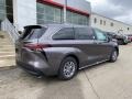 Predawn Gray Mica - Sienna XLE AWD Hybrid Photo No. 14