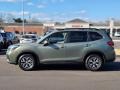 Jasper Green Metallic - Forester 2.5i Premium Photo No. 4