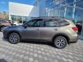 Sepia Bronze Metallic - Forester 2.5i Premium Photo No. 4