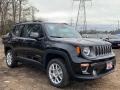 2021 Black Jeep Renegade Limited 4x4  photo #1