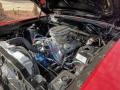 1969 Ford Fairlane 302ci OHV 16-Valve V8 Engine Photo