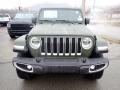 Sarge Green - Wrangler Unlimited Sahara 4x4 Photo No. 8