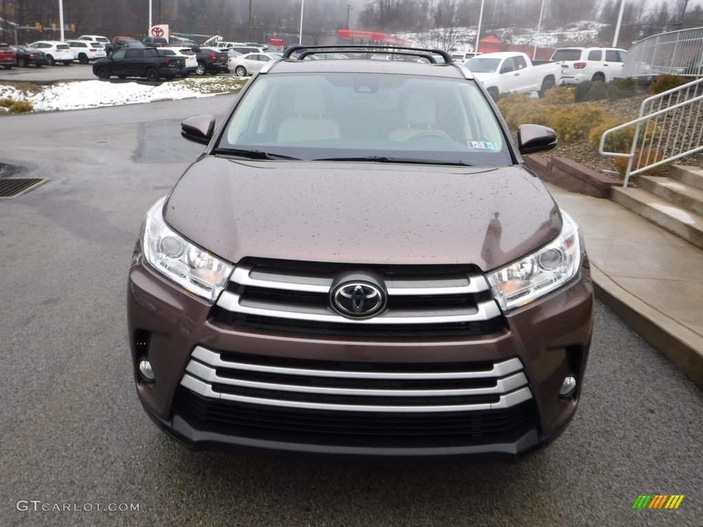 2018 Highlander XLE AWD - Toasted Walnut Pearl / Almond photo #11